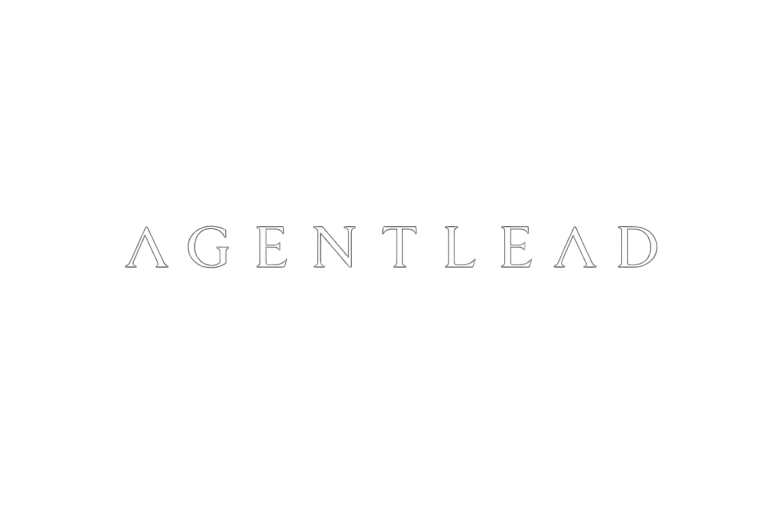 Agent Lead Websites